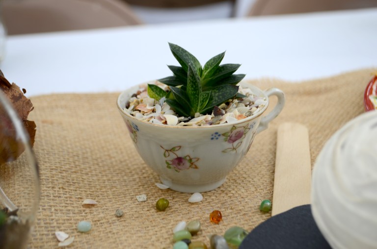 The succulents were potted in unique jars, tea cups, glass terrariums and tiny terra cotta pots.